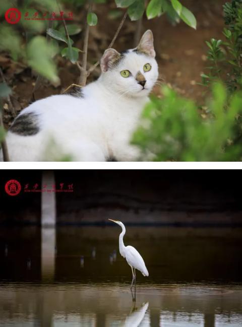 迎新特辑丨新同学，欢迎来到西工商!