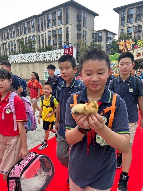 开学第一天 未来科技城海创小学学生搜集来全国各地的岩石和土壤返校 拼出一幅特别的“中国地图”