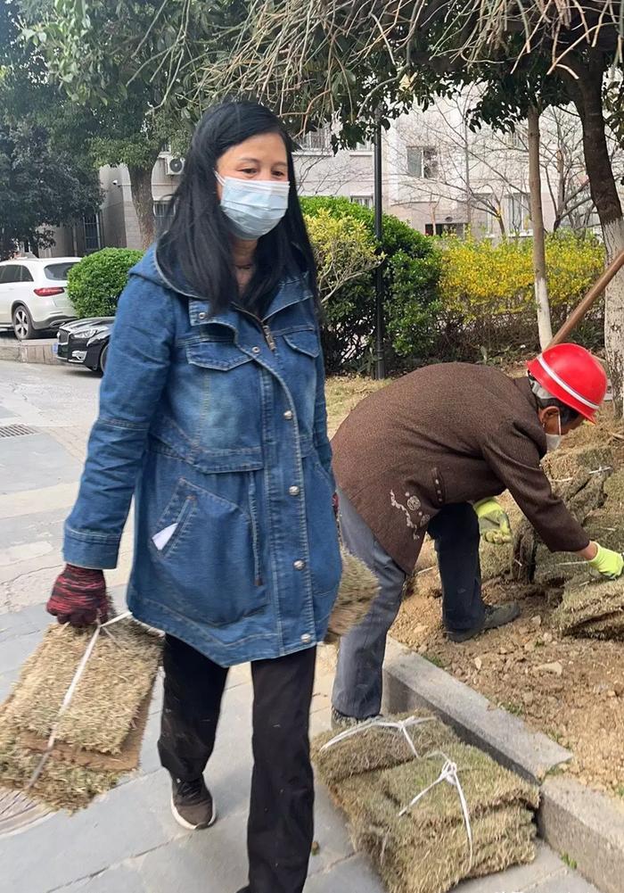 业主自治究竟怎么样，合肥万豪花园小区给出了一份答卷