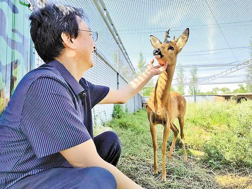 “小动物已经把这里当成了自己的家”