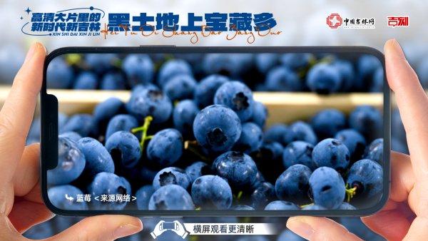 高清大片里的新时代新吉林⑯｜黑土地上宝藏多