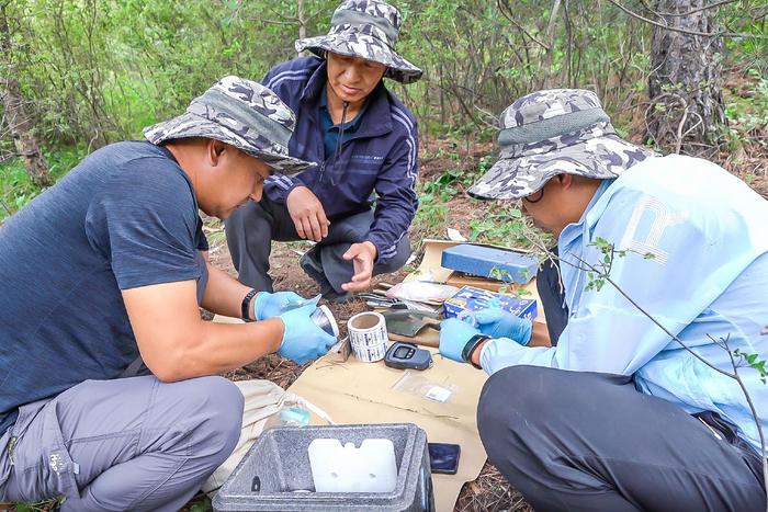 踏遍山山水水，带回珍贵土壤样品——记河北省张家口生态环境监测中心退役军人“采样小分队”