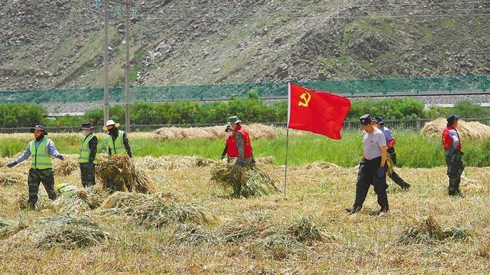 农忙正当时  秋收粮满仓