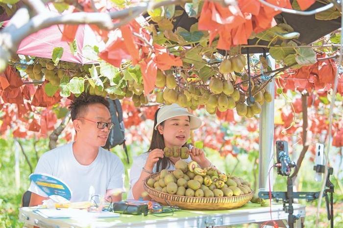 农民当主播 土特产“云端”出圈