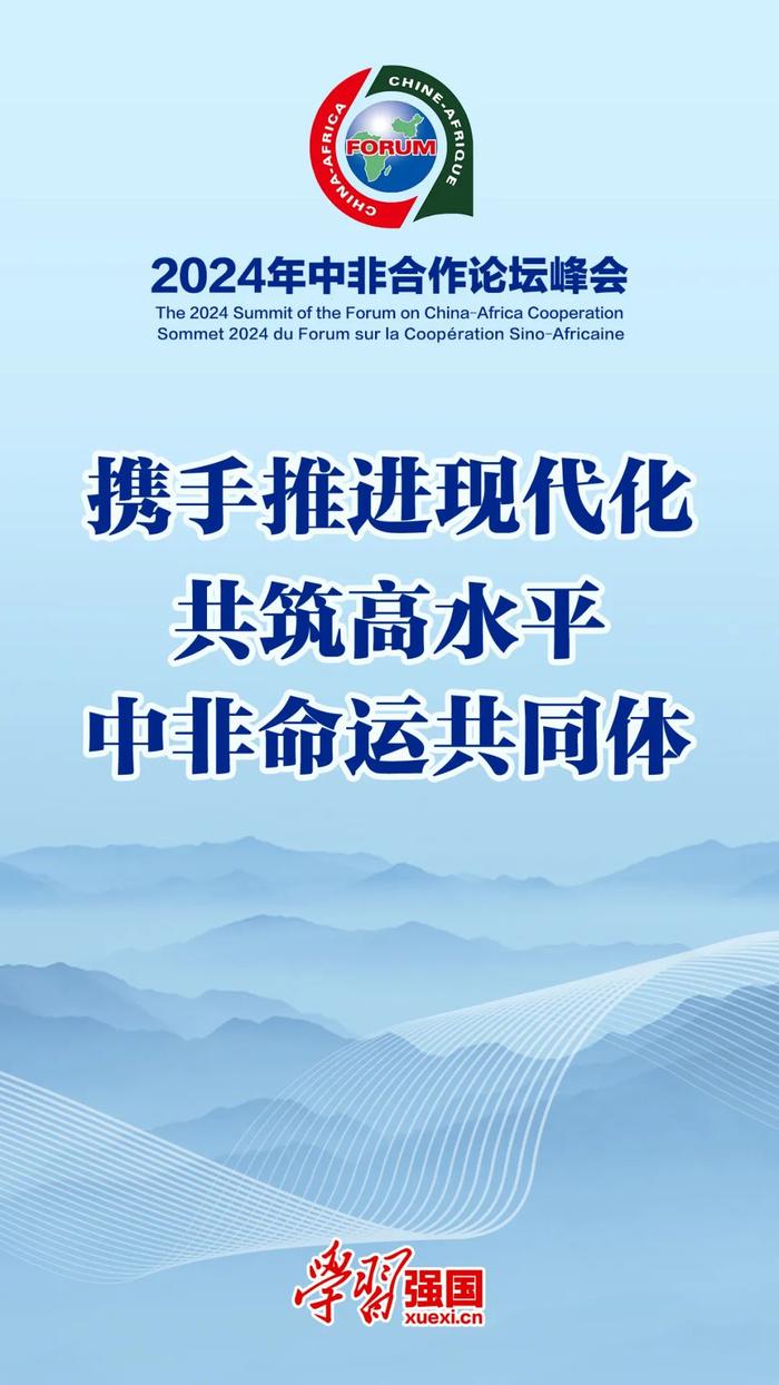 海报：2024年中非合作论坛峰会