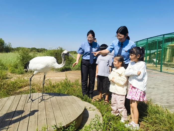 山东东营：检察履职为候鸟栖息地织密法治保护网