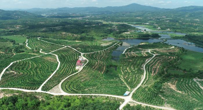 江西赣州市山水林田湖草生态保护修复工程——赣县区崩岗生态修复项目