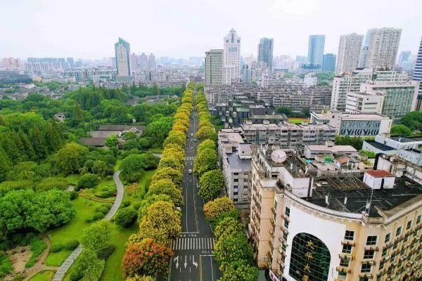 一路繁花入画来！宁波这条路迎来最美时节