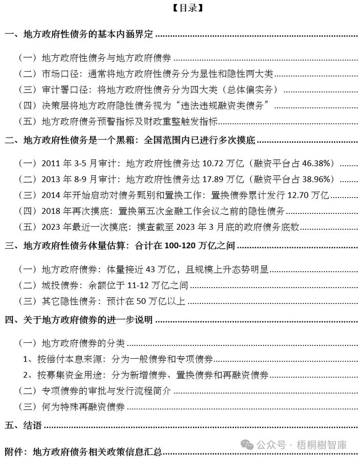 地方政府性债务手册（2024年版）