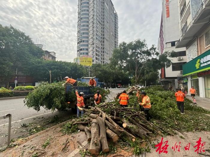 9月2日晚间风速达到11级，是梧州国家基准气候站自1951年建站以来观测到的最大瞬时风速