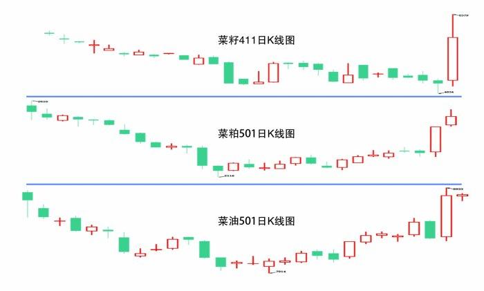 菜籽系期货价格强势拉升