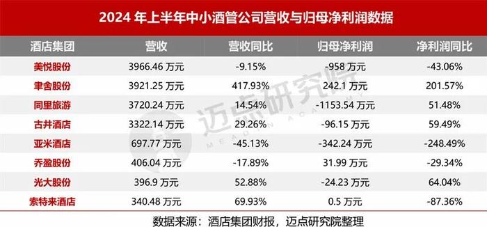 2024上半年酒店集团财务分析报告