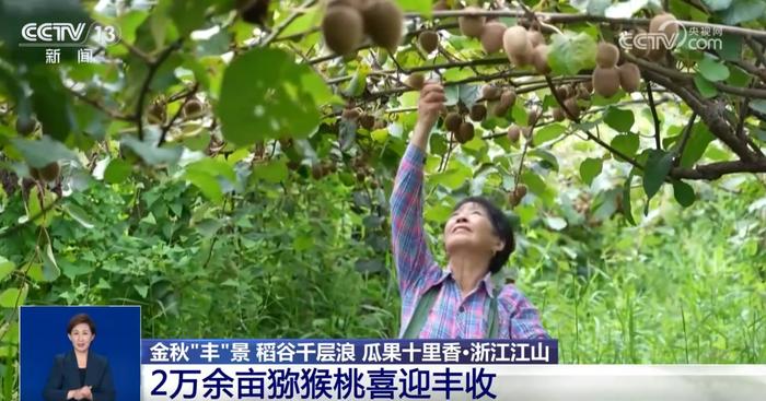 稻谷千层浪、瓜果十里香、鱼虾肥美鲜味足 金秋时节“丰”景正好