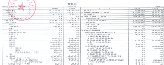 京能集团2024上半年经营现金流转负，副总张凤阳出任京能电力董事长