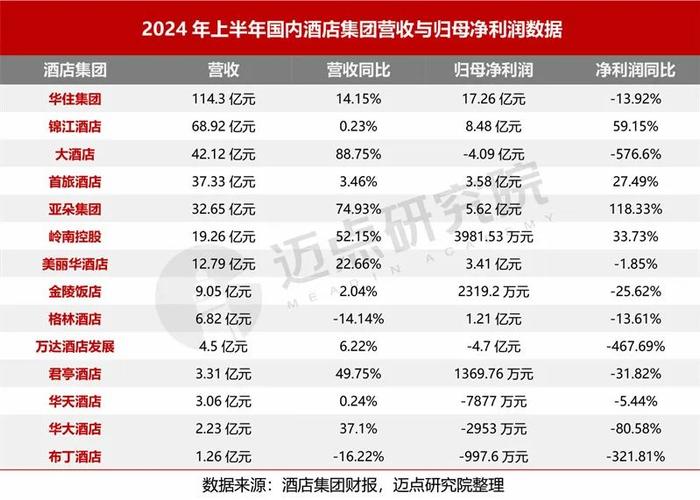 2024上半年酒店集团财务分析报告