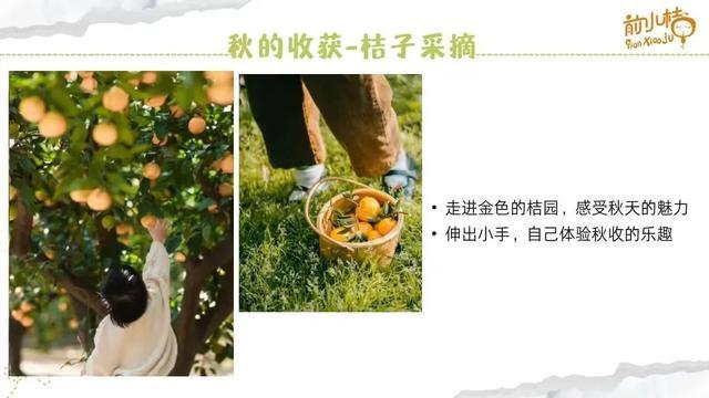 秋游企划！为你定制一场生动又有趣的《寻秋之旅》