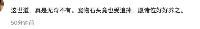 热闻|猫狗不香了？这届年轻人开始养宠物石头了，网友：不会吵闹，性价比高！