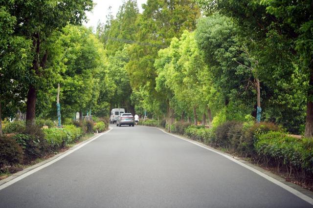 哇哦~这些道路竟都安装了“绿色空调”！