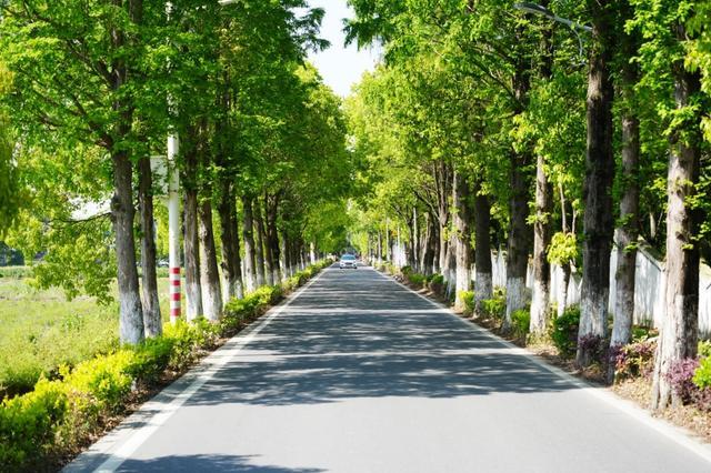 哇哦~这些道路竟都安装了“绿色空调”！