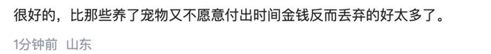 热闻|猫狗不香了？这届年轻人开始养宠物石头了，网友：不会吵闹，性价比高！