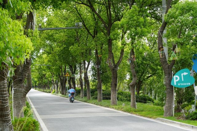 哇哦~这些道路竟都安装了“绿色空调”！