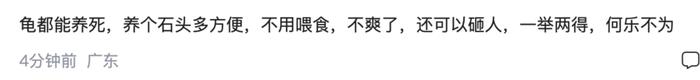 热闻|猫狗不香了？这届年轻人开始养宠物石头了，网友：不会吵闹，性价比高！