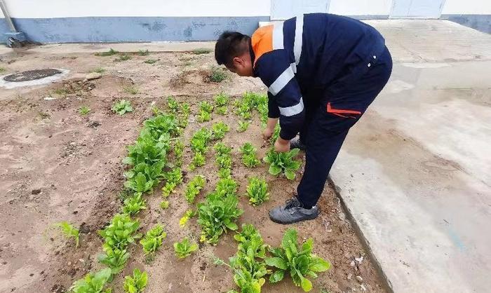 班组天地｜高原工匠的“绿色成绩单”