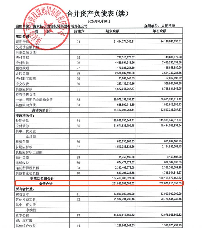 扬子国投2024上半年归母净利增三成，资产负债率70%