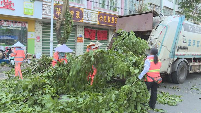 琼海多部门联合加强嘉积城区树木修剪 防范台风“摩羯”