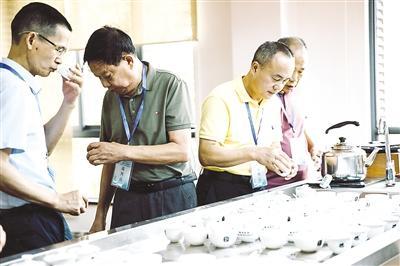 茶艺比拼 匠心绽放——福建省南平市“工助振兴、共富共美”茶叶加工职业技能竞赛侧记