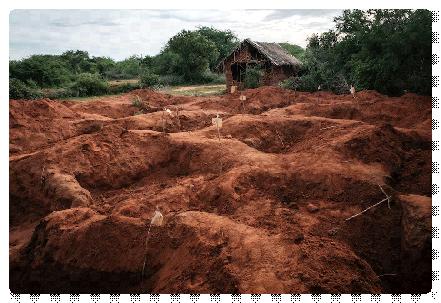 制造400余名信徒死亡惨案！肯尼亚法院以恐怖主义罪审判邪教成员