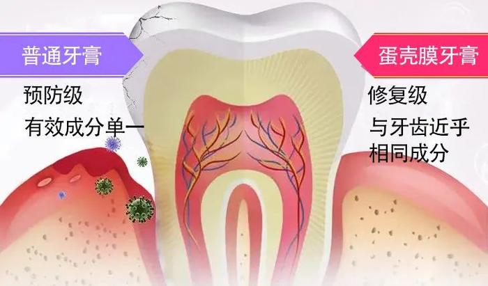 牙齿上裹层“膜”，竟能让牙齿再生，烂牙变好牙！家家都有这材料