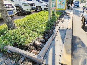 哈市一批路桥和市政设施问题被曝光