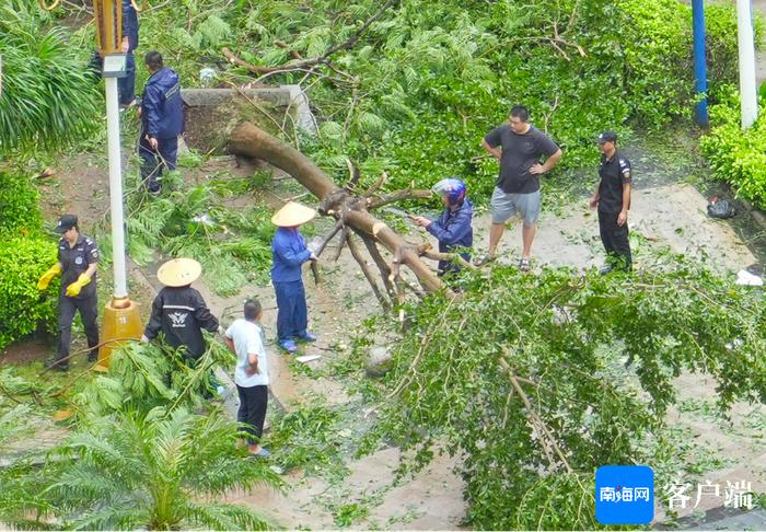 比台风登陆更惊心动魄的这些图片、视频让人泪目……