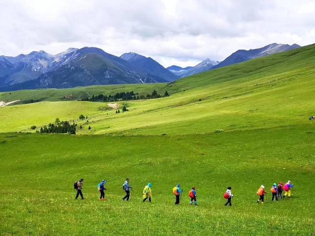 理塘县委书记董德洪：将在提升旅游服务质量上持续下功夫｜天府旅游名县巡礼