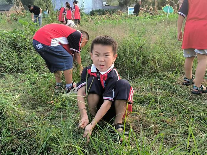 南召马市坪西大庄小学开展新学期劳动第一课