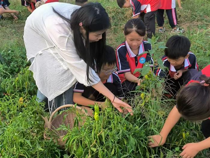 南召马市坪西大庄小学开展新学期劳动第一课