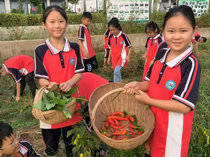 南召马市坪西大庄小学开展新学期劳动第一课