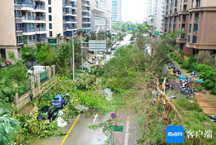 比台风登陆更惊心动魄的这些图片、视频让人泪目……