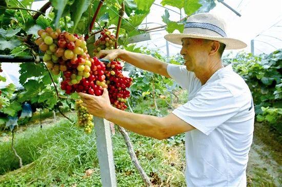 秋老虎还没走？我市未来几日仍有30℃以上高温