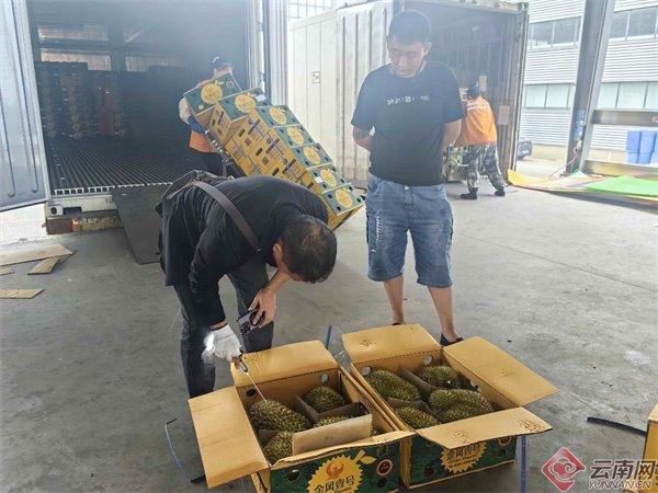 首柜36吨抵达！泰国LEO集团进口榴莲在昆明王家营开箱验货