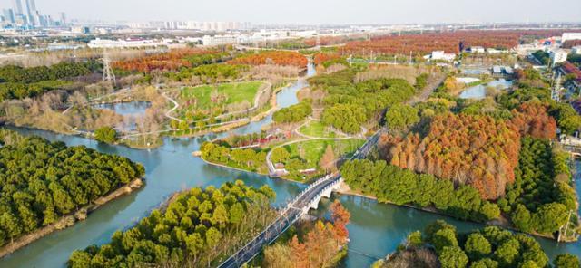 浦东这些项目获评上海市海绵城市精品工程