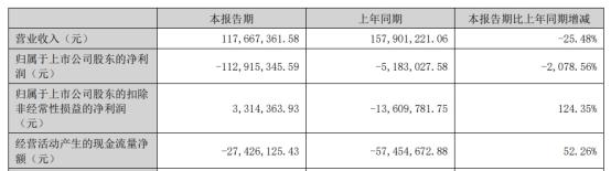 新城市1年1期均亏 2019年上市2募资共10亿元