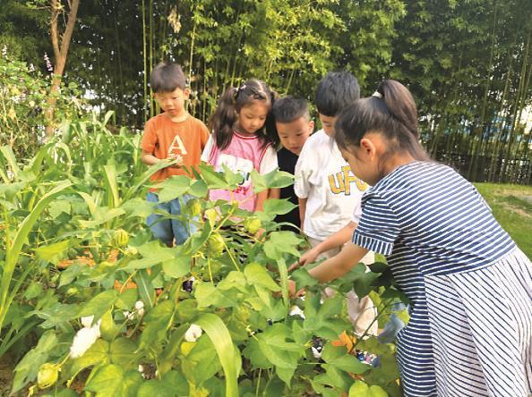 家门口的幼儿园究竟有何魔力？