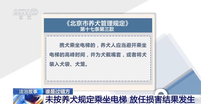 狗咬伤人，人又踢了狗，究竟该谁来担责？