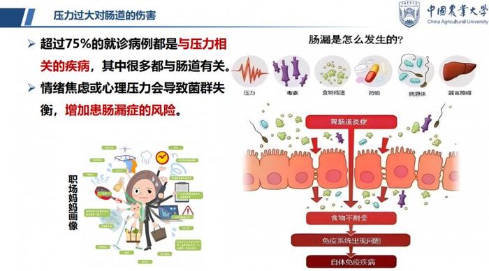 第七届扶鹰幸福家庭年会，中国农大教授陈芳分享健康优雅生活的秘诀