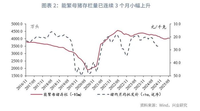 宏观市场 | 食品价格上涨，核心CPI疲弱——评2024年8月物价数据