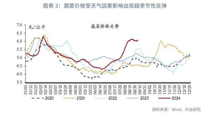 宏观市场 | 食品价格上涨，核心CPI疲弱——评2024年8月物价数据