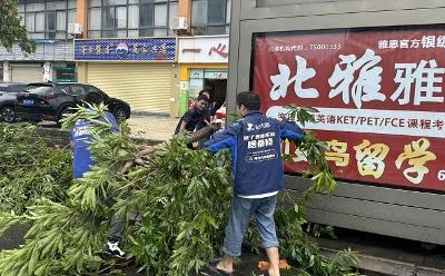 台风过后，啄木鸟家庭维修打响灾后救援“快攻战”