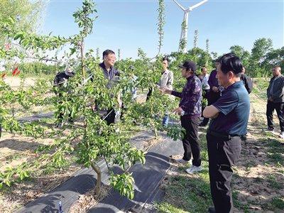 全力创建全国民族团结进步示范市